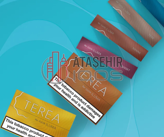 Ataşehir IQOS TEREA satış